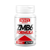 ZMB 6 FORMULA - WHYsport
